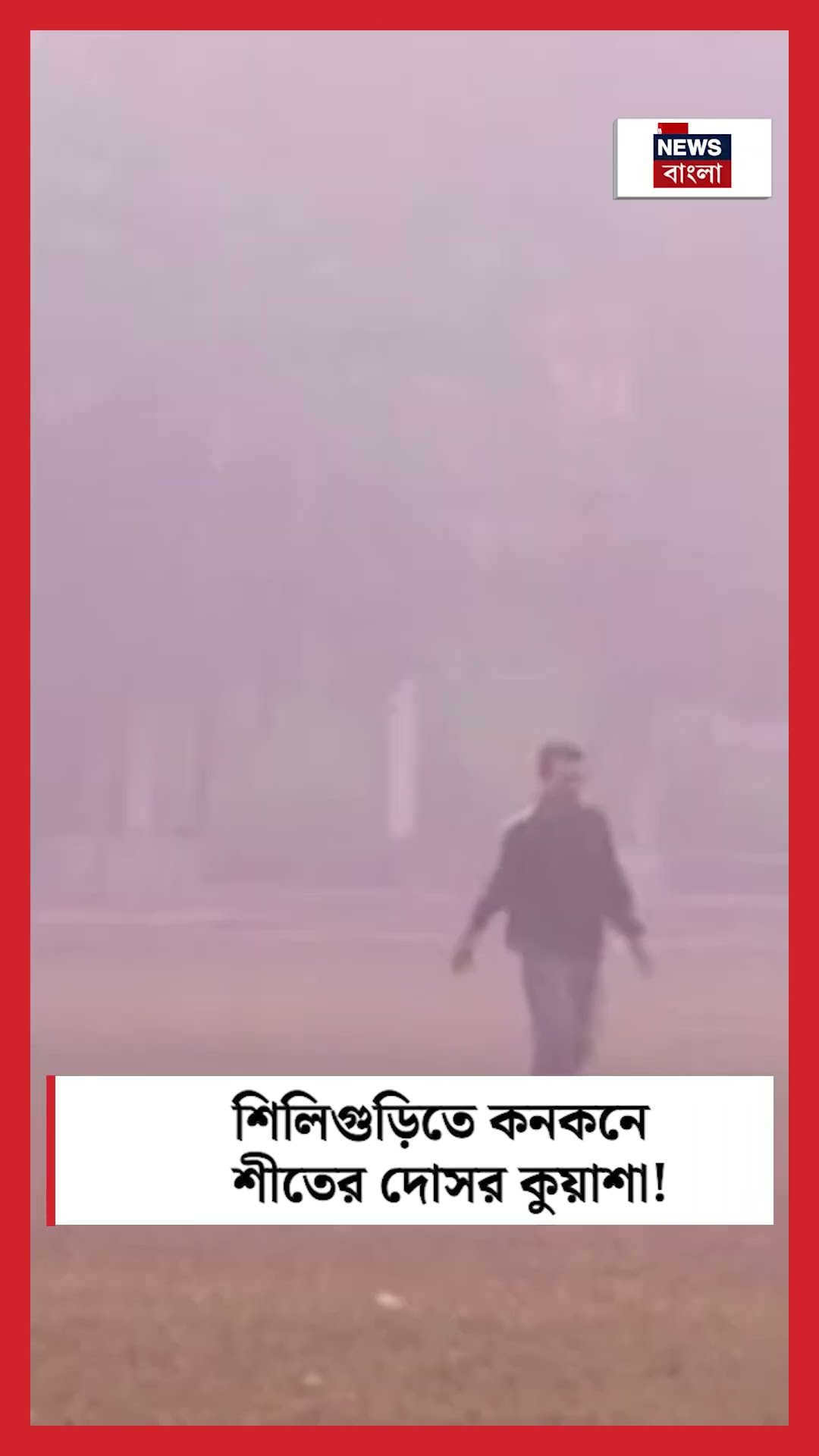 Siliguri তে কনকনে শীতের দোসর কুয়াশা! #shorts