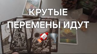 ВЫ АХНЕТЕ 🤫 ПОТОМУ ЧТО СКОРО ВСЕ РАЗРЕШИТСЯ