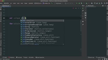 040 Kotlin Programming Language Fundamentals - CHALLENGE SOLUTION   CatAge   To Lambda Expression