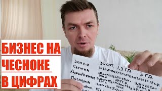 РЕНТАБЕЛЬНОСТЬ ВЫРАЩИВАНИЯ ЧЕСНОКА НА ПЛОШАДИ: 30 СОТОК, 1 ГА, 3 ГА