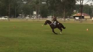 Elise and Diva L2 Gallop