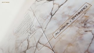 Famous Alaska - Azarca Net Worth