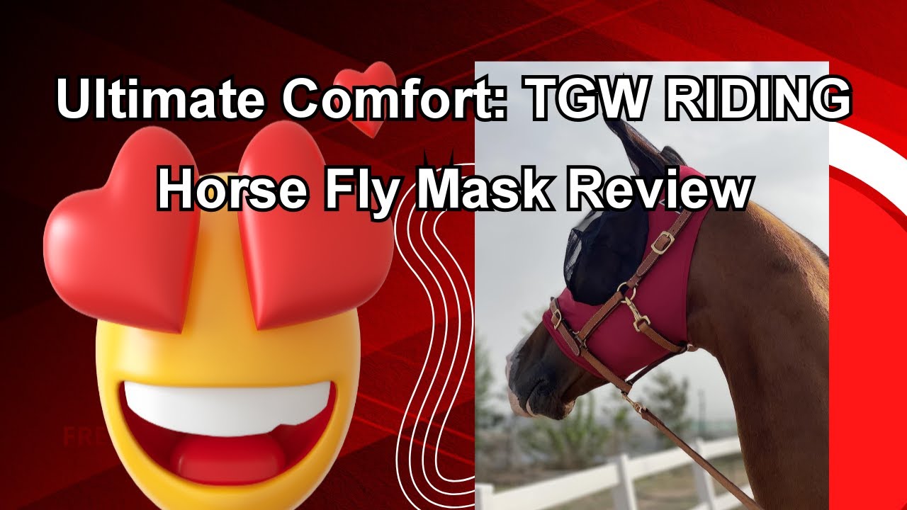 Ultimate Comfort TGW RIDING Horse Fly Mask Review YouTube