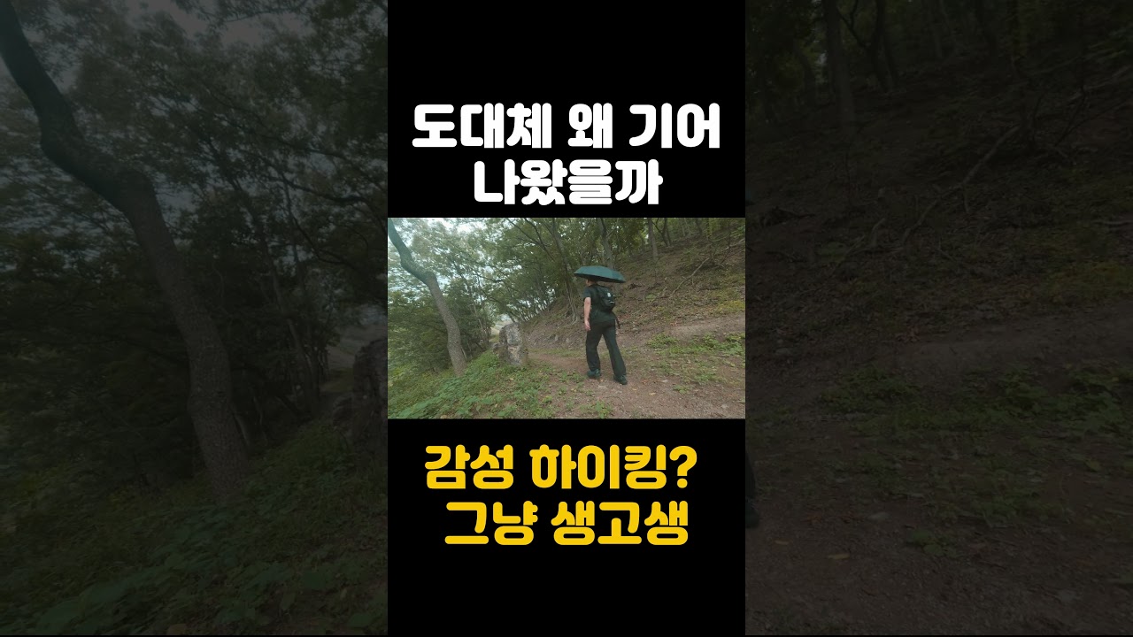 이 날씨에 제 발로 쳐들어간 불나방 | 포항 해파랑길 15코스 #Shorts #도보여행 #해파랑길