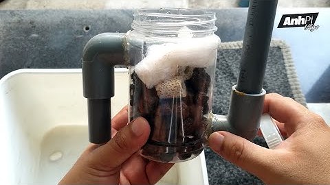 HƯỚNG DẪN CHẾ LỌC BIO ĐƠN GIẢN CHO HỒ CÁ BẢY MÀU | Nhật ký nuôi cá bảy màu #44