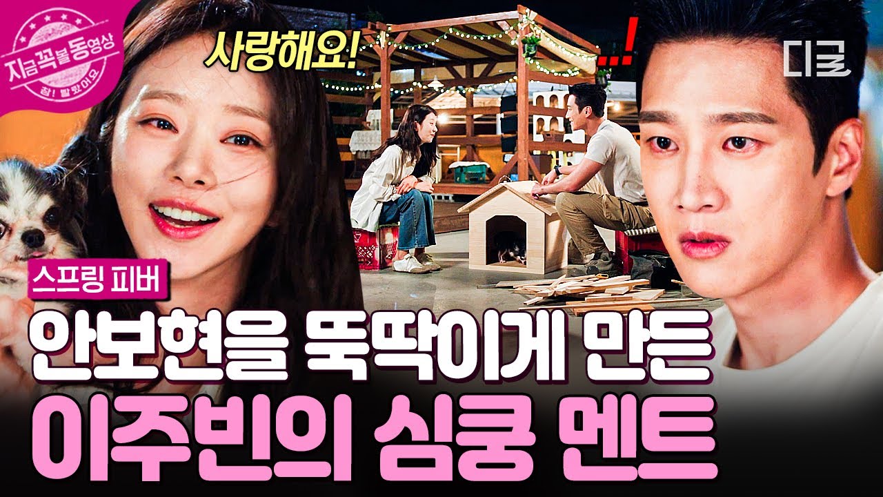 스프링 피버 관련 유튜브 클립 썸네일