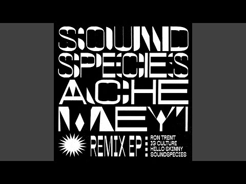 Soundspecies — Alina's Calypso (Ron Trent Remix)