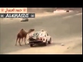 شيلة خلوج على جثة ولدها تجي وتروح شيلة خلوج على جثة ولدها تجي وتروح