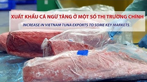 VASEP Highlight - T7/2023: Xuất khẩu cá ngừ tăng ở một số thị trường chính