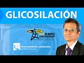 GLICOSILACIÓN: sintomas de azucar alta 🍦 | el Dr. Héctor Solórzano En Por el Ojo de la Cerradur