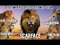 EL UNIVERSO DE LOS LEONES SCAR | EXPLICADO