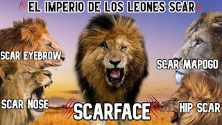 EL UNIVERSO DE LOS LEONES SCAR | EXPLICADO