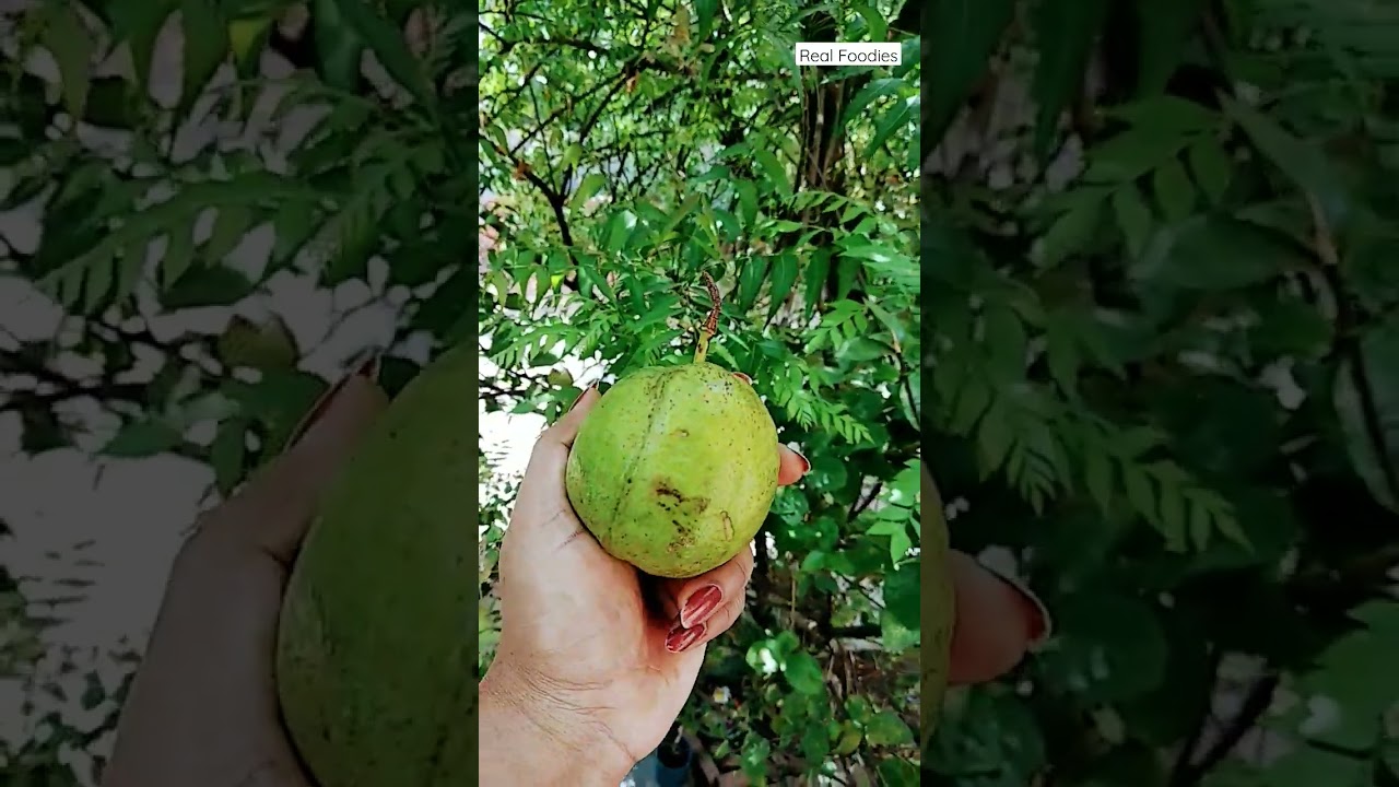 Green Green Guava😋/