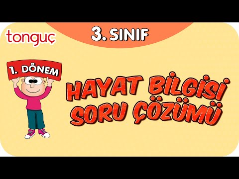 3. Sınıf Hayat Bilgisi 1. Dönem Full Tekrar ♻ #2024