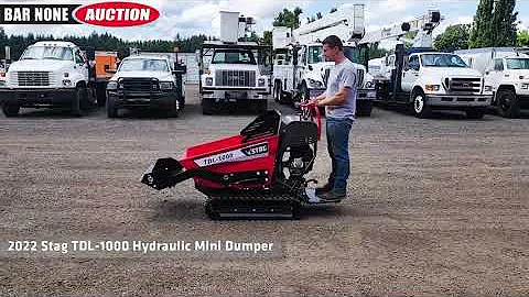 2022 Stag TDL-1000 Hydraulic Mini Dumper