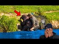 After a Man Saved a Drowning Baby Elephant, The Herd Turned Around and Did This...
