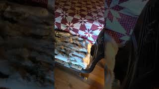 Airbnb in johnson city tennessee
