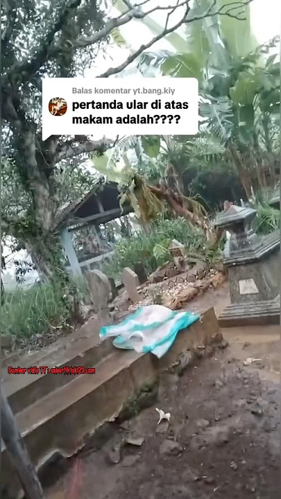 THIS GRAVE IS SURROUNDED BY GIANT SNAKES, IS IT A COINCIDENCE OR WHAT? 😱❓#trending #shorts #creep...