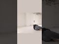 【ダンステクニック】フロア #コンテンポラリーダンス