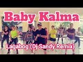 Baby Kalma | Lagabog | Dj Sandy Remix | Dance Workout | Ges Zumbanatics