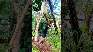 Download Lagu takut ah 😅✌️ #comedy #funyvido #memengakakkocak #lucu #ngakak #comedyvidoes #tipeketawa #humor MP3