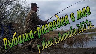 Рыбалка разведка в мае на донки, р  Илек г Актобе 2021г