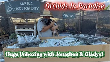 HUGE UNBOXING! New nursery, Mauna Understory brings in 100’s of orchids from the Big Island 
