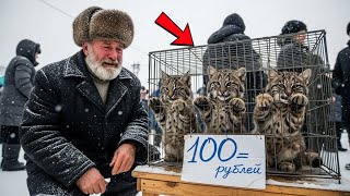 Старик увидел на рынке трёх рысят, проданных за бесценок — и его жизнь изменилась
