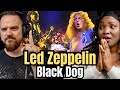 Led Zeppelin - Black Dog (Live at Madison Square Garden 1973) first time reaction