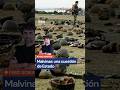 La historia COMPLETA del reclamo por la soberanía argentina en las Islas Malvinas
