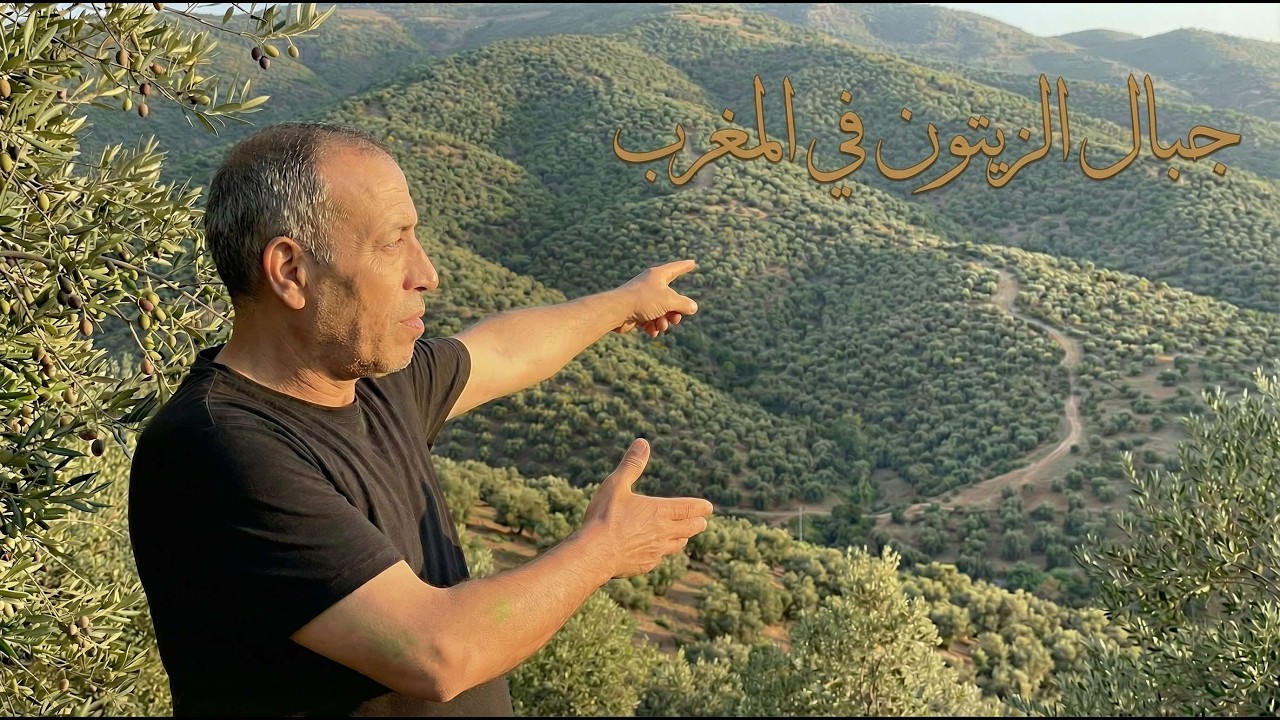 هاد الجبال كاملين زيتون… شوفو تاونات شنو فيها