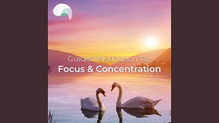 Guided Meditation For Focus & Concentration Pt.2 (Binaural Beats)