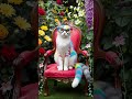 Meow #shorts #cat #meow #beautifulcat