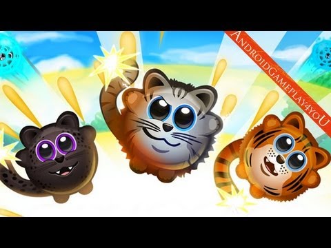 Bombcats: Special Edition Android Game Gameplay [Game For Kids]