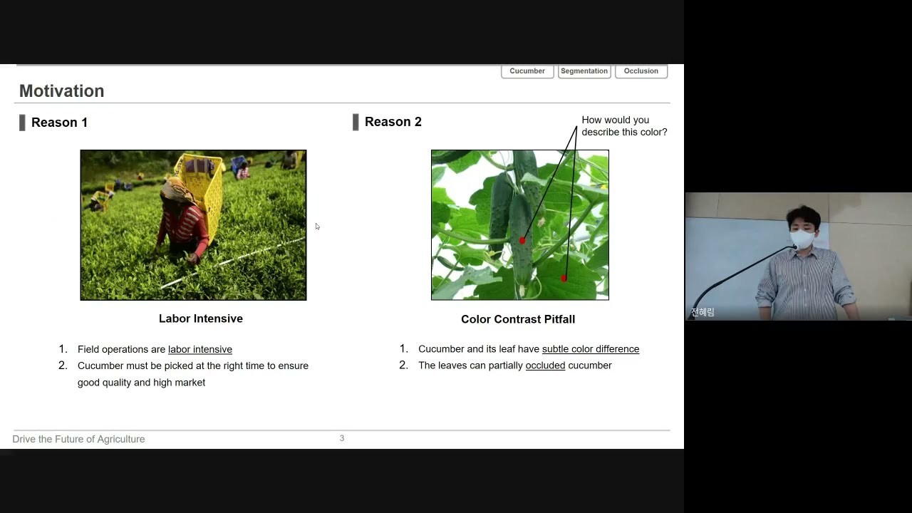 [2021 Spring] Team 14: Cucumber Segmentation and Occlusion Recovery for Autonomous Picking Robot
