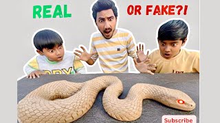 Making Real Snake With Clay Clay Se Bnaya Snake