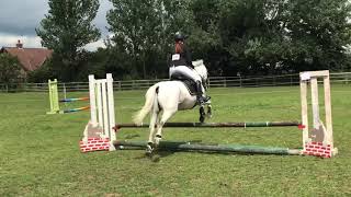 Casper at a show|mygreypony Casper