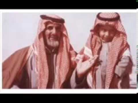 الفية ابن عمار