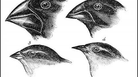 History of bioinformatics | Wikipedia audio article