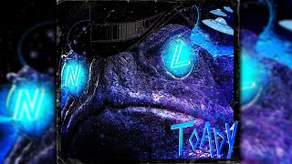 Nauminal - Toady Sovereignty Official Audio