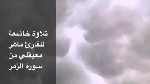 تلاوة خاشعة للقارئ ماهر معيقلي من سورة الزمر