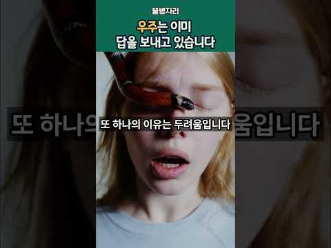 우주는 이미 답을 보냈습니다 – 당신이 못 보는 이유 #잠재의식 #끌어당김의법칙 #영성