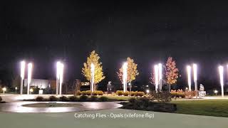 Catching Flies - Opals (xilefone flip)