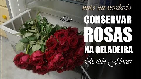 Como guardar uma rosa na geladeira?