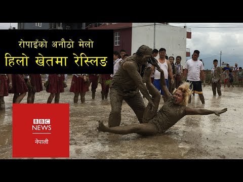 रोपाइँको अनौठो मेलो:  धान रोप्ने खेतमा रेस्लिङ