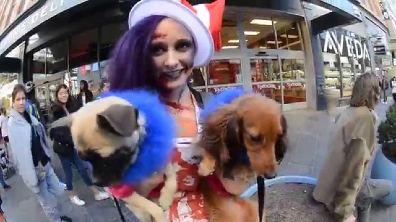 Denver Zombie Crawl Invasion World Record 2013