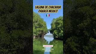 Laguna de Chacahua Oaxaca Mexico 🇲🇽. #fedorshcherbinin #fidelerasta #oaxaca #mexico