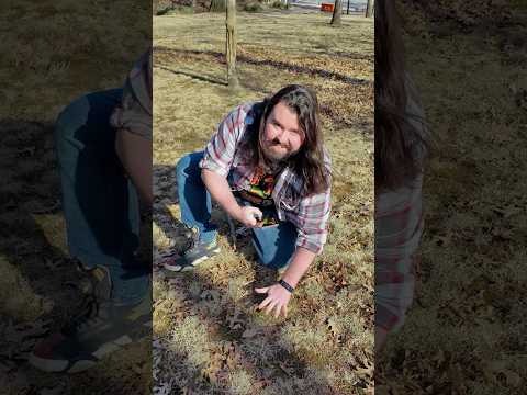 «Разработка систем вознаграждения: от производительных приложений до развлекательных платформ - Текедия»