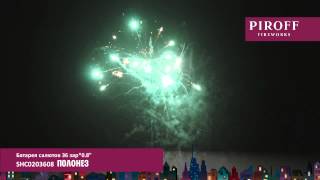 SHC0203608 ПОЛОНЕЗ