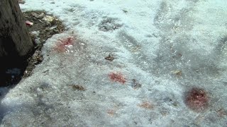 Neighbors grapple with triple shooting in Beloit